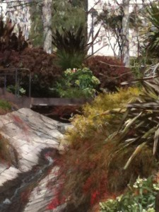Garden at the Getty